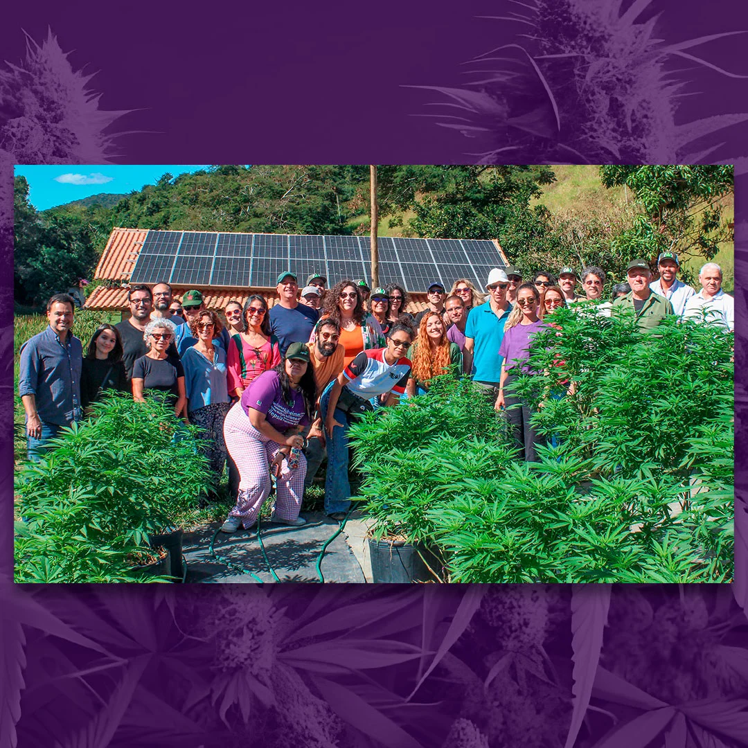 APEPI Escola - Curso de Prescrição Medicinal de Cannabis
